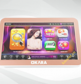 màn hình karaoke, màn OKARA H20
